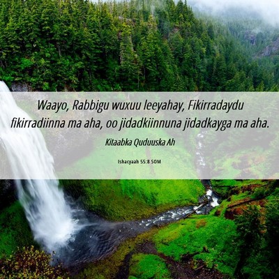 Picture 06 - Ishacyaah 55:8 SOM - Waayo, Rabbigu wuxuu leeyahay, Fikirradaydu - Bible Verse Picture