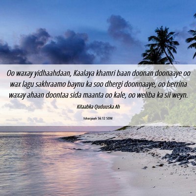 Picture 06 - Ishacyaah 56:12 SOM - Oo waxay yidhaahdaan, Kaalaya khamri baan doonan - Bible Verse Picture