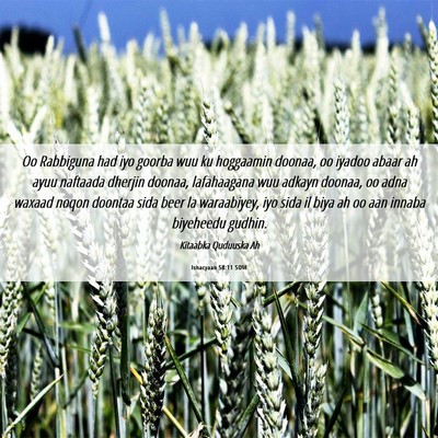 Picture 06 - Ishacyaah 58:11 SOM - Oo Rabbiguna had iyo goorba wuu ku hoggaamin - Bible Verse Picture