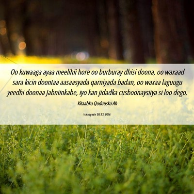 Picture 06 - Ishacyaah 58:12 SOM - Oo kuwaaga ayaa meelihii hore oo burburay dhisi - Bible Verse Picture