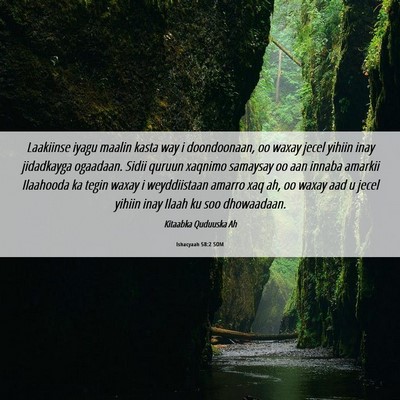 Picture 06 - Ishacyaah 58:2 SOM - Laakiinse iyagu maalin kasta way i doondoonaan, - Bible Verse Picture