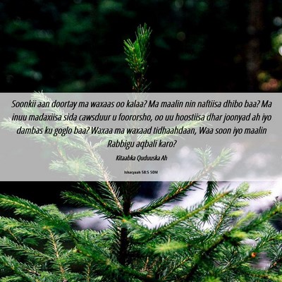 Picture 06 - Ishacyaah 58:5 SOM - Soonkii aan doortay ma waxaas oo kalaa? Ma maalin - Bible Verse Picture