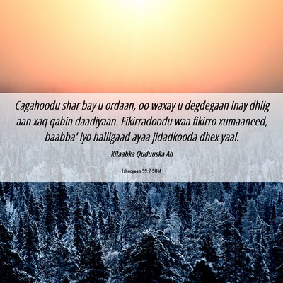 Picture 06 - Ishacyaah 59:7 SOM - Cagahoodu shar bay u ordaan, oo waxay u degdegaan - Bible Verse Picture