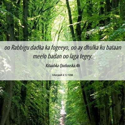 Picture 06 - Ishacyaah 6:12 SOM - oo Rabbigu dadka ka fogeeyo, oo ay dhulka ku - Bible Verse Picture