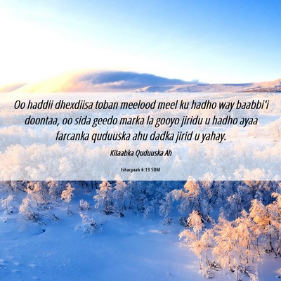 Picture 06 - Ishacyaah 6:13 SOM - Oo haddii dhexdiisa toban meelood meel ku hadho - Bible Verse Picture