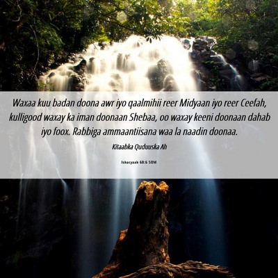Picture 06 - Ishacyaah 60:6 SOM - Waxaa kuu badan doona awr iyo qaalmihii reer - Bible Verse Picture