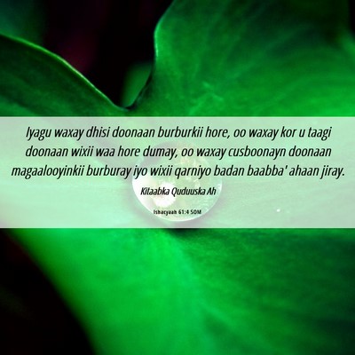 Picture 06 - Ishacyaah 61:4 SOM - Iyagu waxay dhisi doonaan burburkii hore, oo - Bible Verse Picture