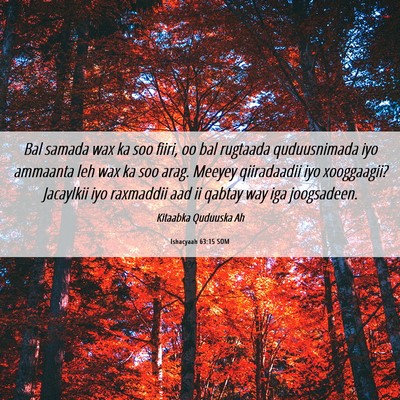 Picture 06 - Ishacyaah 63:15 SOM - Bal samada wax ka soo fiiri, oo bal rugtaada - Bible Verse Picture