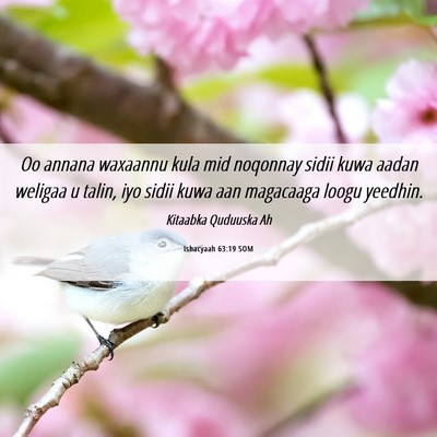 Picture 06 - Ishacyaah 63:19 SOM - Oo annana waxaannu kula mid noqonnay sidii kuwa - Bible Verse Picture