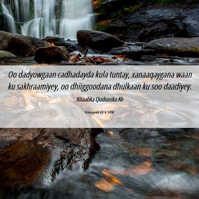 Picture 06 - Ishacyaah 63:6 SOM - Oo dadyowgaan cadhadayda kula tuntay, - Bible Verse Picture