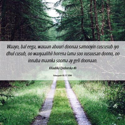 Picture 06 - Ishacyaah 65:17 SOM - Waayo, bal eega, waxaan abuuri doonaa samooyin - Bible Verse Picture