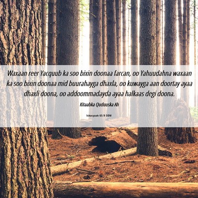 Picture 06 - Ishacyaah 65:9 SOM - Waxaan reer Yacquub ka soo bixin doonaa farcan, - Bible Verse Picture
