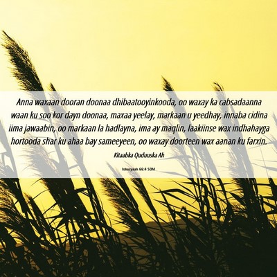 Picture 06 - Ishacyaah 66:4 SOM - Anna waxaan dooran doonaa dhibaatooyinkooda, oo - Bible Verse Picture