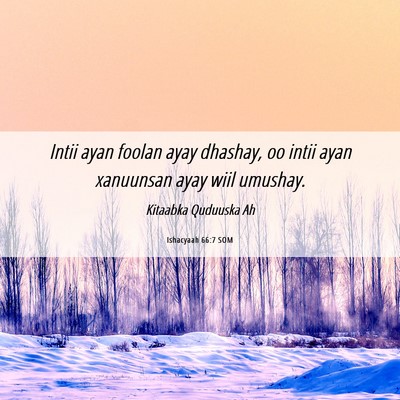 Picture 06 - Ishacyaah 66:7 SOM - Intii ayan foolan ayay dhashay, oo intii ayan - Bible Verse Picture