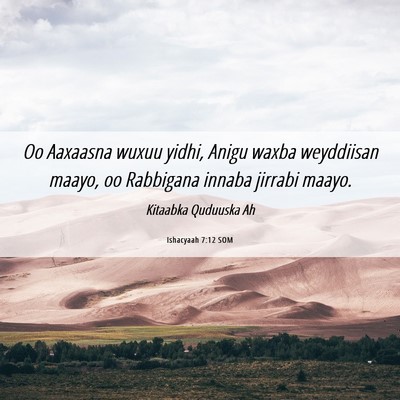 Picture 06 - Ishacyaah 7:12 SOM - Oo Aaxaasna wuxuu yidhi, Anigu waxba weyddiisan - Bible Verse Picture