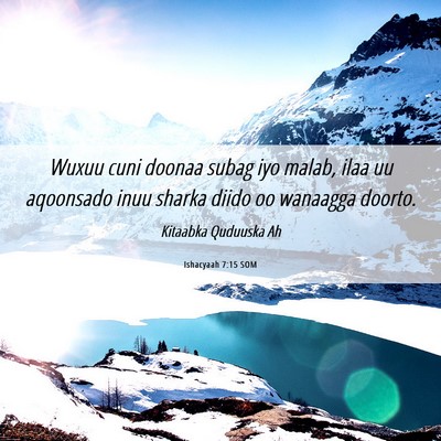 Picture 06 - Ishacyaah 7:15 SOM - Wuxuu cuni doonaa subag iyo malab, ilaa uu - Bible Verse Picture