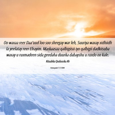 Picture 06 - Ishacyaah 7:2 SOM - Oo waxaa reer Daa'uud loo soo sheegay war leh, - Bible Verse Picture