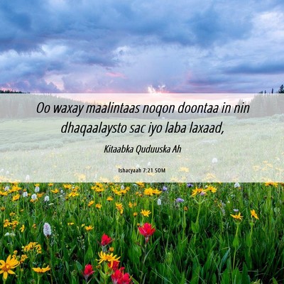 Picture 06 - Ishacyaah 7:21 SOM - Oo waxay maalintaas noqon doontaa in nin - Bible Verse Picture