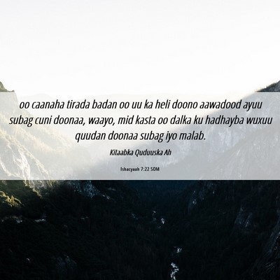 Picture 06 - Ishacyaah 7:22 SOM - oo caanaha tirada badan oo uu ka heli doono - Bible Verse Picture