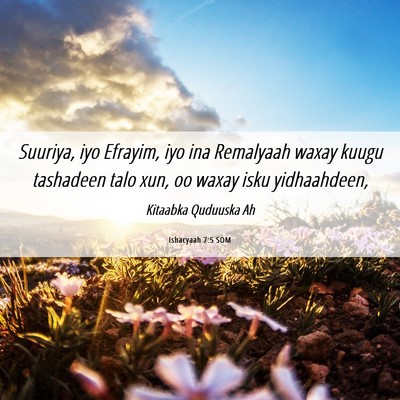Picture 06 - Ishacyaah 7:5 SOM - Suuriya, iyo Efrayim, iyo ina Remalyaah waxay - Bible Verse Picture