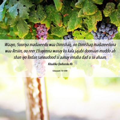 Picture 06 - Ishacyaah 7:8 SOM - Waayo, Suuriya madaxeedu waa Dimishaq, oo - Bible Verse Picture