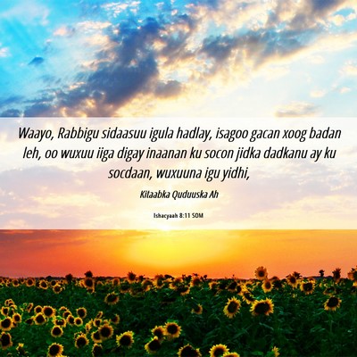 Picture 06 - Ishacyaah 8:11 SOM - Waayo, Rabbigu sidaasuu igula hadlay, isagoo - Bible Verse Picture