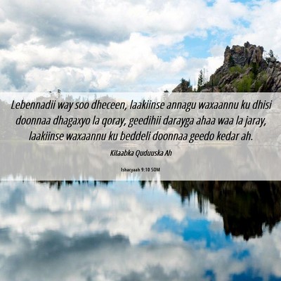 Picture 06 - Ishacyaah 9:10 SOM - Lebennadii way soo dheceen, laakiinse annagu - Bible Verse Picture