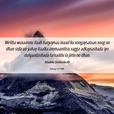 Picture 06 - Kolosay 1:11 SOM - Weliba waxaannu Ilaah baryaynaa inaad ku - Bible Verse Picture