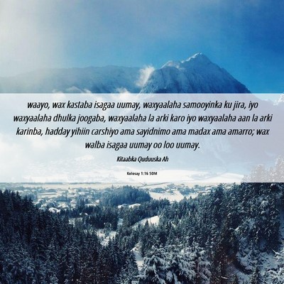 Picture 06 - Kolosay 1:16 SOM - waayo, wax kastaba isagaa uumay, waxyaalaha - Bible Verse Picture