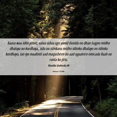 Picture 06 - Kolosay 1:6 SOM - Kaasu waa idiin yimid, xataa siduu ugu yimid - Bible Verse Picture