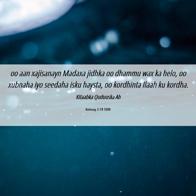 Picture 06 - Kolosay 2:19 SOM - oo aan xajisanayn Madaxa jidhka oo dhammu wax ka - Bible Verse Picture