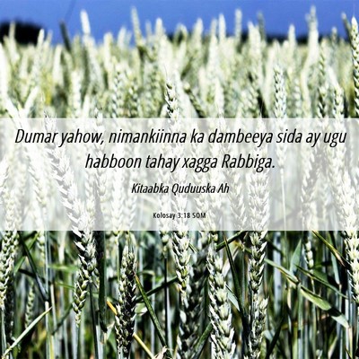 Picture 06 - Kolosay 3:18 SOM - Dumar yahow, nimankiinna ka dambeeya sida ay ugu - Bible Verse Picture