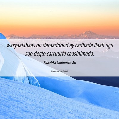 Picture 06 - Kolosay 3:6 SOM - waxyaalahaas oo daraaddood ay cadhada Ilaah ugu - Bible Verse Picture