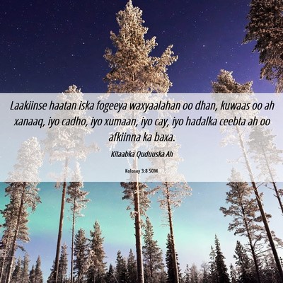 Picture 06 - Kolosay 3:8 SOM - Laakiinse haatan iska fogeeya waxyaalahan oo - Bible Verse Picture