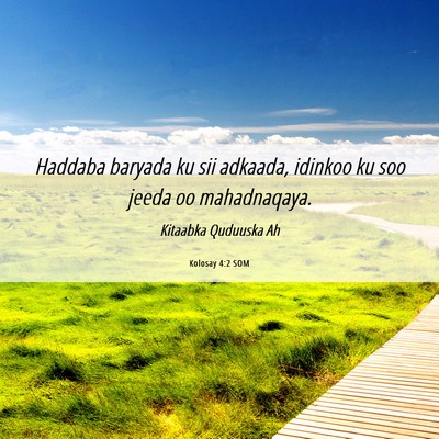 Picture 06 - Kolosay 4:2 SOM - Haddaba baryada ku sii adkaada, idinkoo ku soo - Bible Verse Picture