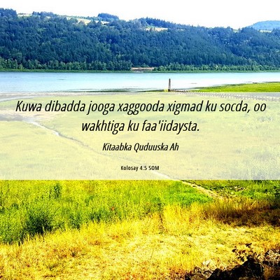Picture 06 - Kolosay 4:5 SOM - Kuwa dibadda jooga xaggooda xigmad ku socda, oo - Bible Verse Picture