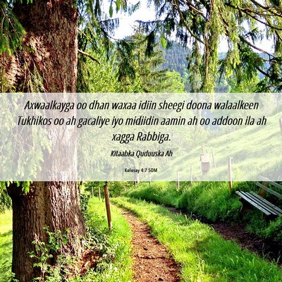Picture 06 - Kolosay 4:7 SOM - Axwaalkayga oo dhan waxaa idiin sheegi doona - Bible Verse Picture