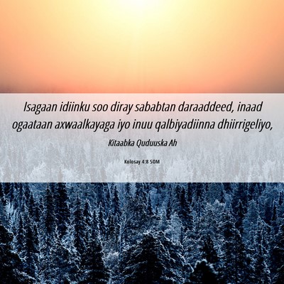 Picture 06 - Kolosay 4:8 SOM - Isagaan idiinku soo diray sababtan daraaddeed, - Bible Verse Picture