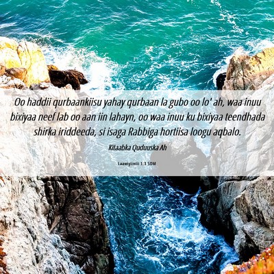 Picture 06 - Laawiyiintii 1:3 SOM - Oo haddii qurbaankiisu yahay qurbaan la gubo oo - Bible Verse Picture