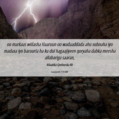 Picture 06 - Laawiyiintii 1:8 SOM - oo markaas wiilasha Haaruun oo wadaaddada ahu - Bible Verse Picture