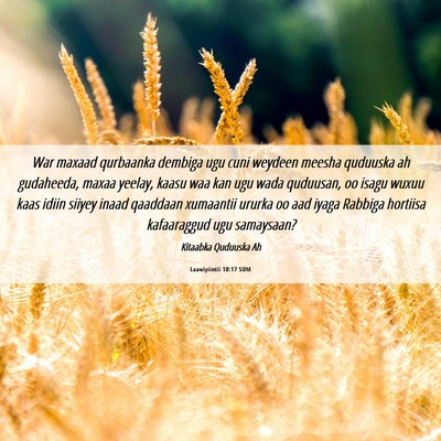 Picture 06 - Laawiyiintii 10:17 SOM - War maxaad qurbaanka dembiga ugu cuni weydeen - Bible Verse Picture