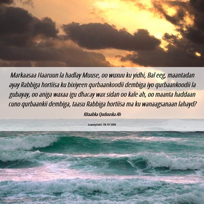 Picture 06 - Laawiyiintii 10:19 SOM - Markaasaa Haaruun la hadlay Muuse, oo wuxuu ku - Bible Verse Picture