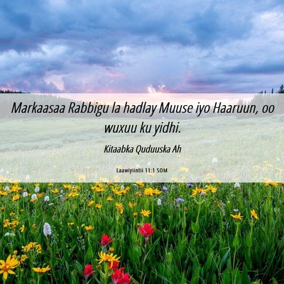 Picture 06 - Laawiyiintii 11:1 SOM - Markaasaa Rabbigu la hadlay Muuse iyo Haaruun, oo - Bible Verse Picture