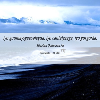 Picture 06 - Laawiyiintii 11:18 SOM - iyo guumaysgeesaleyda, iyo cantalyaaga, iyo - Bible Verse Picture