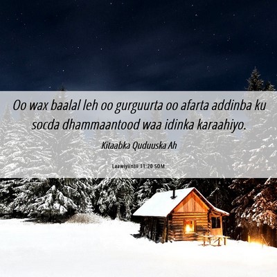 Picture 06 - Laawiyiintii 11:20 SOM - Oo wax baalal leh oo gurguurta oo afarta addinba - Bible Verse Picture