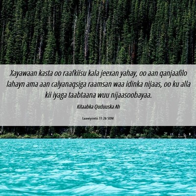 Picture 06 - Laawiyiintii 11:26 SOM - Xayawaan kasta oo raafkiisu kala jeexan yahay, oo - Bible Verse Picture