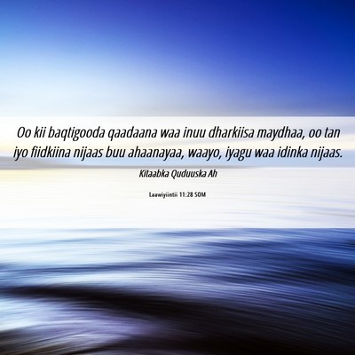 Picture 06 - Laawiyiintii 11:28 SOM - Oo kii baqtigooda qaadaana waa inuu dharkiisa - Bible Verse Picture