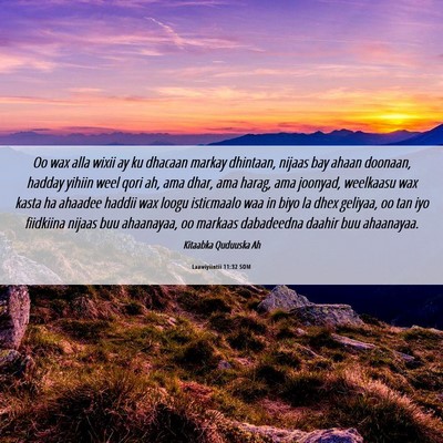 Picture 06 - Laawiyiintii 11:32 SOM - Oo wax alla wixii ay ku dhacaan markay dhintaan, - Bible Verse Picture