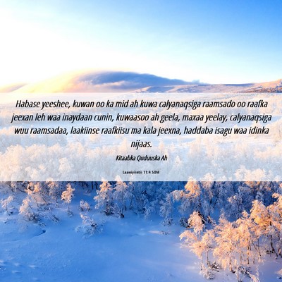 Picture 06 - Laawiyiintii 11:4 SOM - Habase yeeshee, kuwan oo ka mid ah kuwa - Bible Verse Picture