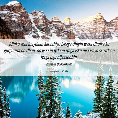 Picture 06 - Laawiyiintii 11:43 SOM - Idinku waa inaydaan karaahiyo iskaga dhigin waxa - Bible Verse Picture